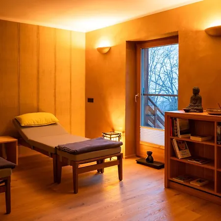 Soami Spaces - Alpine Hideaway * Millstatt